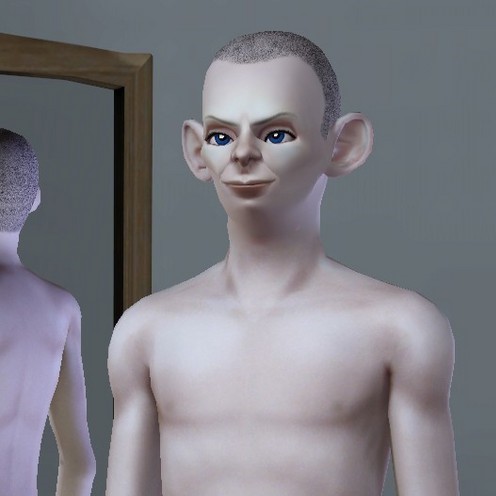 《模拟人生3》MOD人物 指环王(弗罗多的仆人)-Mods8游戏网