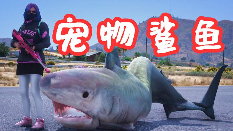 GTA5 小查狗狗 变成 宠物鲨鱼 模组 Pet Shark MOD [替换-动物]-Mods8游戏网