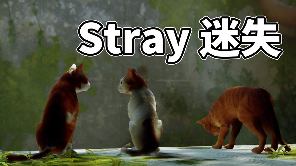 迷失Stray 简体中文 免安装 绿色版【6.54GB】-Mods8游戏网